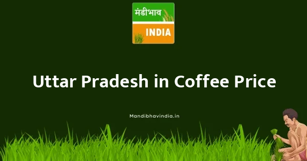 Coffee भाव